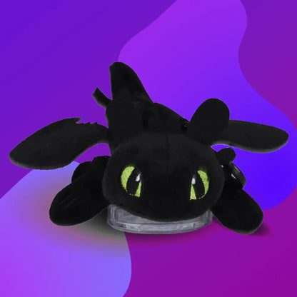 Toothless & Light Fury