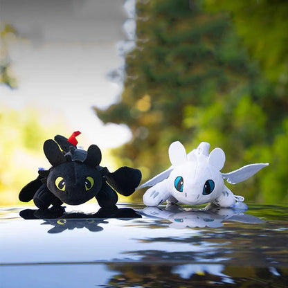 Toothless & Light Fury